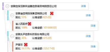 安徽信?；ヂ?lián)網(wǎng)金融信息服務(wù)有限責(zé)任公司 深耕互聯(lián)網(wǎng)信息服務(wù)，賦能區(qū)域金融創(chuàng)新